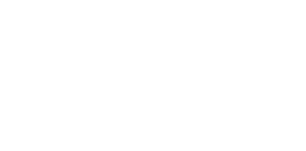 NP7 Experience